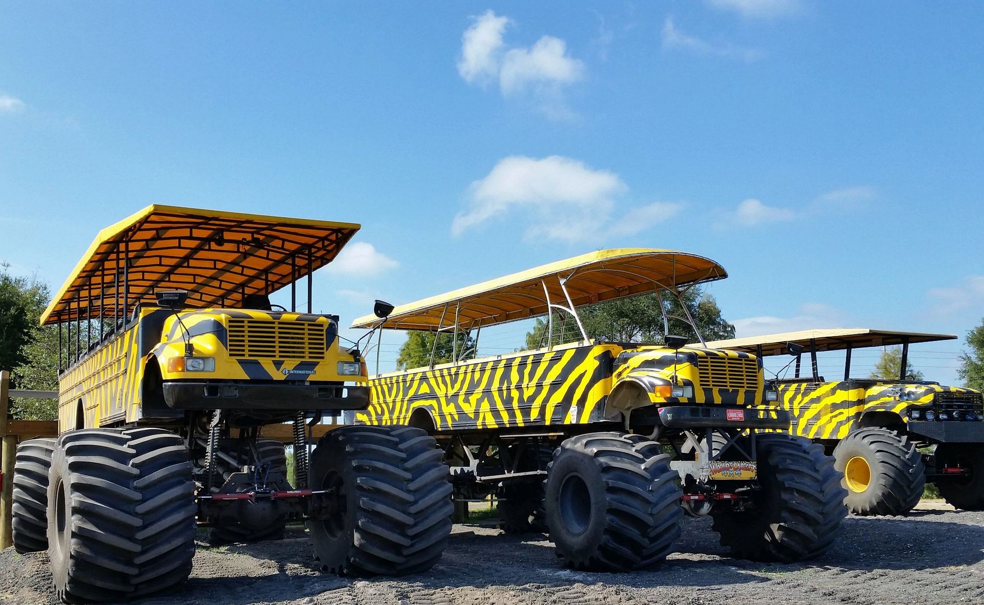 Cool refreshments at Showcase of Citrus